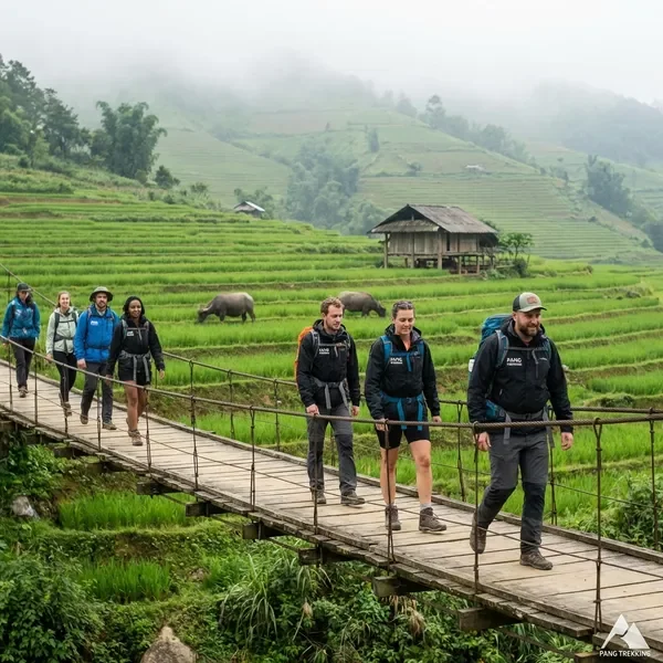 Day trek through Sapa rice paddies and villages