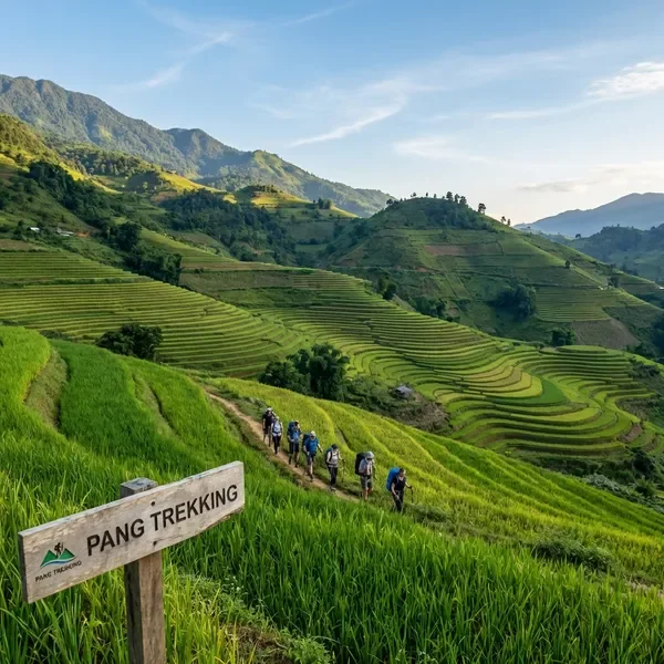Full day trek through Sapa terraced landscapes